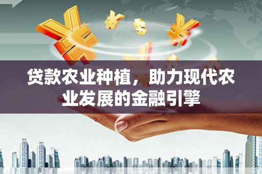 安阳贷款农业种植，助力现代农业发展的金融引擎