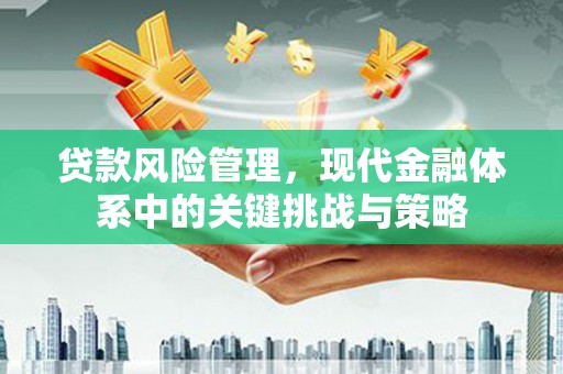 安阳贷款风险管理，现代金融体系中的关键挑战与策略