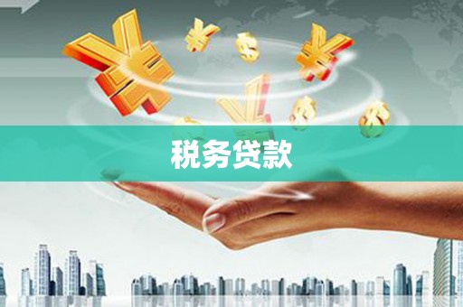 安阳税务贷款