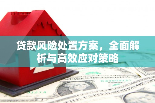 安阳贷款风险处置方案，全面解析与高效应对策略