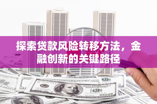安阳探索贷款风险转移方法，金融创新的关键路径