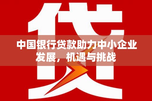 安阳中国银行贷款助力中小企业发展，机遇与挑战