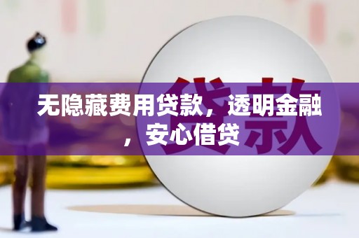 安阳无隐藏费用贷款，透明金融，安心借贷