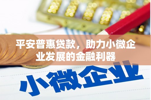 安阳平安普惠贷款，助力小微企业发展的金融利器