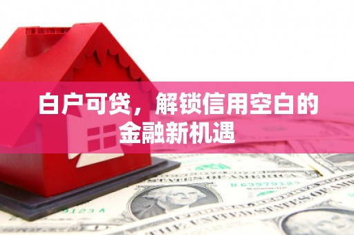 安阳白户可贷，解锁信用空白的金融新机遇