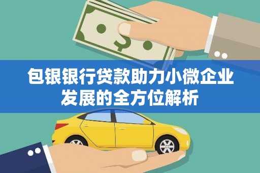 安阳包银银行贷款助力小微企业发展的全方位解析
