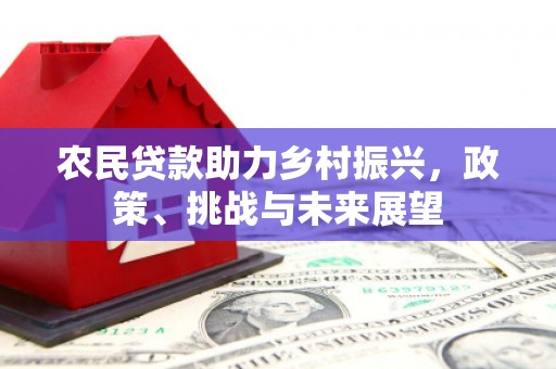 安阳农民贷款助力乡村振兴，政策、挑战与未来展望
