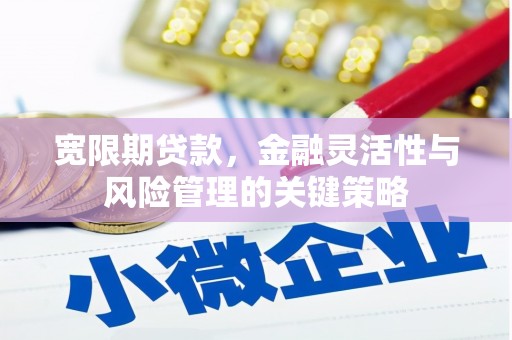 安阳宽限期贷款，金融灵活性与风险管理的关键策略