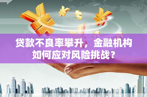 安阳贷款不良率攀升，金融机构如何应对风险挑战？