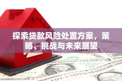 安阳探索贷款风险处置方案，策略、挑战与未来展望