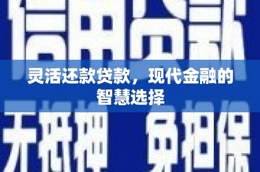 安阳灵活还款贷款，现代金融的智慧选择