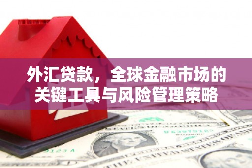 安阳外汇贷款，全球金融市场的关键工具与风险管理策略