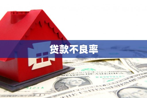 安阳贷款不良率