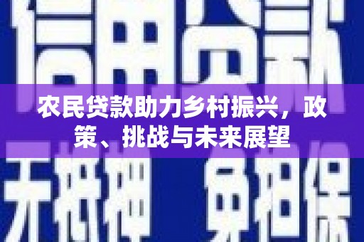 安阳农民贷款助力乡村振兴，政策、挑战与未来展望