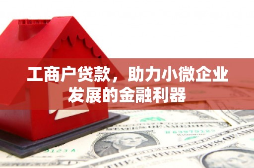 安阳工商户贷款，助力小微企业发展的金融利器