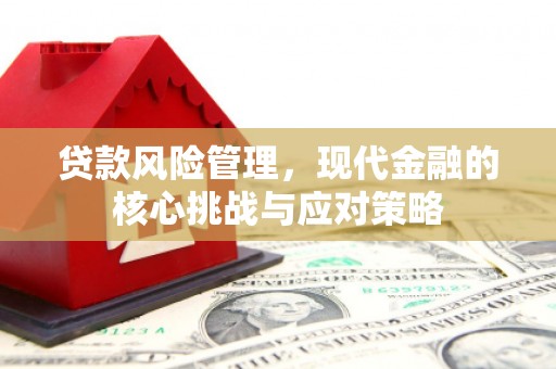安阳贷款风险管理，现代金融的核心挑战与应对策略