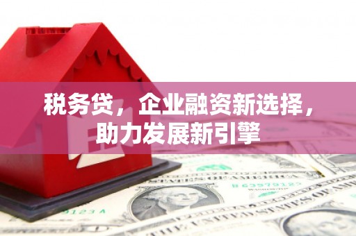 安阳税务贷，企业融资新选择，助力发展新引擎