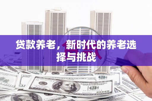 安阳贷款养老，新时代的养老选择与挑战