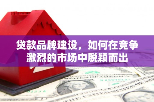 安阳贷款品牌建设，如何在竞争激烈的市场中脱颖而出