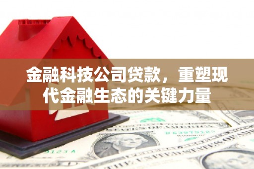 安阳金融科技公司贷款，重塑现代金融生态的关键力量