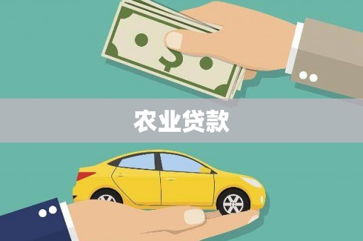 安阳农业贷款