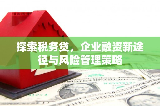 安阳探索税务贷，企业融资新途径与风险管理策略
