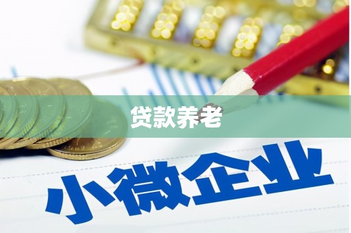 安阳贷款养老
