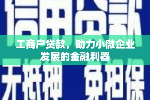 安阳工商户贷款，助力小微企业发展的金融利器