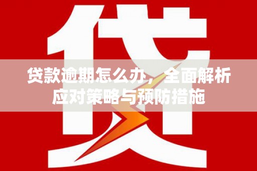 安阳贷款逾期怎么办，全面解析应对策略与预防措施