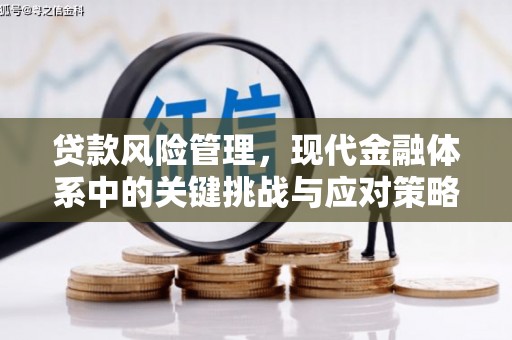 安阳贷款风险管理，现代金融体系中的关键挑战与应对策略