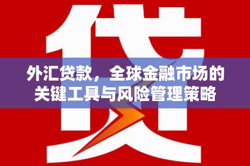 安阳外汇贷款，全球金融市场的关键工具与风险管理策略