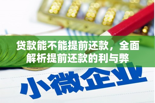 安阳贷款能不能提前还款，全面解析提前还款的利与弊