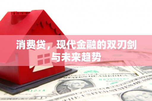 安阳消费贷，现代金融的双刃剑与未来趋势