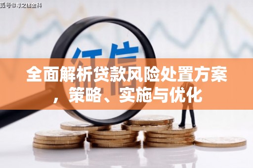 安阳全面解析贷款风险处置方案，策略、实施与优化