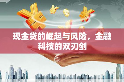 安阳现金贷的崛起与风险，金融科技的双刃剑