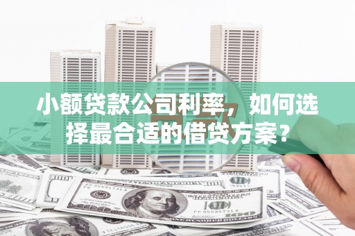 安阳小额贷款公司利率，如何选择最合适的借贷方案？