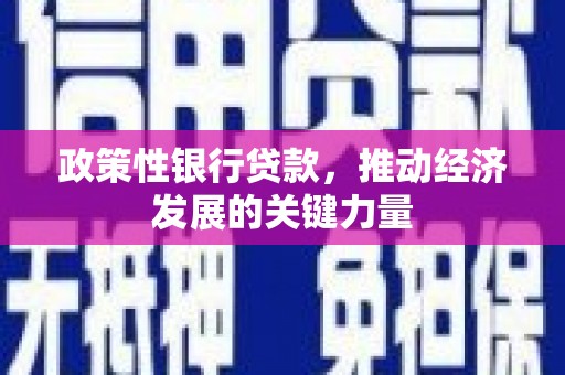 安阳政策性银行贷款，推动经济发展的关键力量
