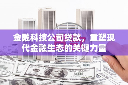 安阳金融科技公司贷款，重塑现代金融生态的关键力量