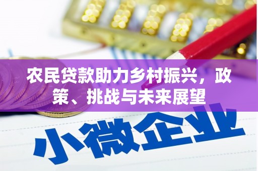 安阳农民贷款助力乡村振兴，政策、挑战与未来展望