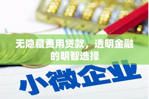 安阳无隐藏费用贷款，透明金融的明智选择