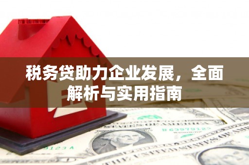 安阳税务贷助力企业发展，全面解析与实用指南