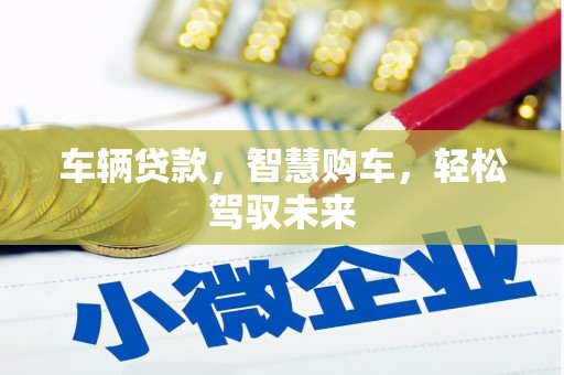 安阳车辆贷款，智慧购车，轻松驾驭未来