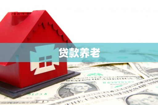 安阳贷款养老