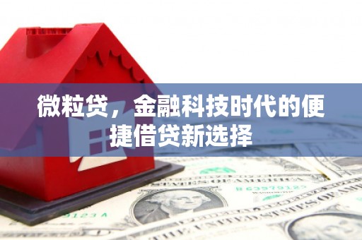 安阳微粒贷，金融科技时代的便捷借贷新选择