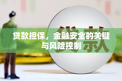 安阳贷款担保，金融安全的关键与风险控制