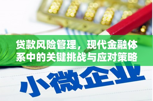 安阳贷款风险管理，现代金融体系中的关键挑战与应对策略