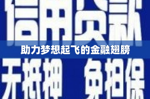 安阳助力梦想起飞的金融翅膀