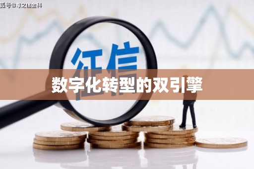 安阳数字化转型的双引擎