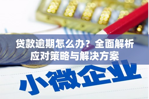 安阳贷款逾期怎么办？全面解析应对策略与解决方案