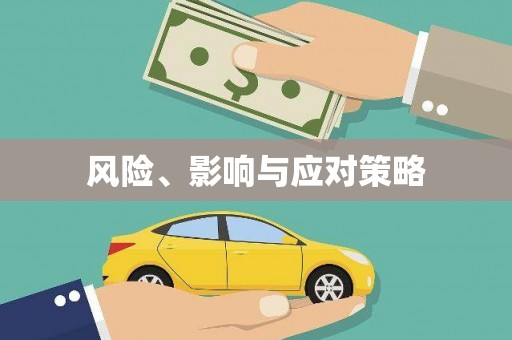 安阳风险、影响与应对策略